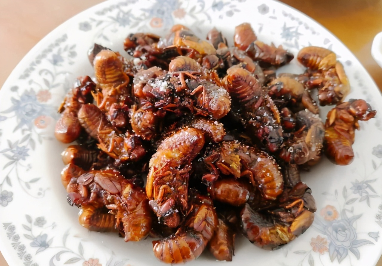 吃知了猴有啥禁忌,烤知了猴的危害