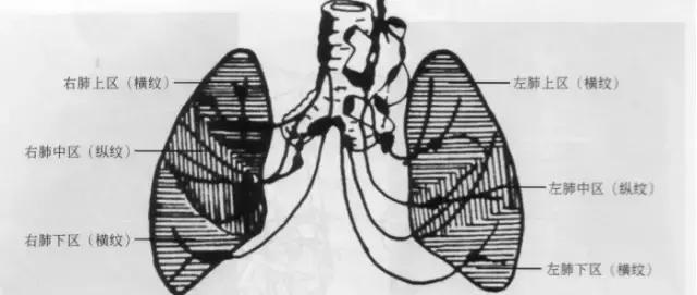 休闲小白鞋夏,献血小板相当于献血多少