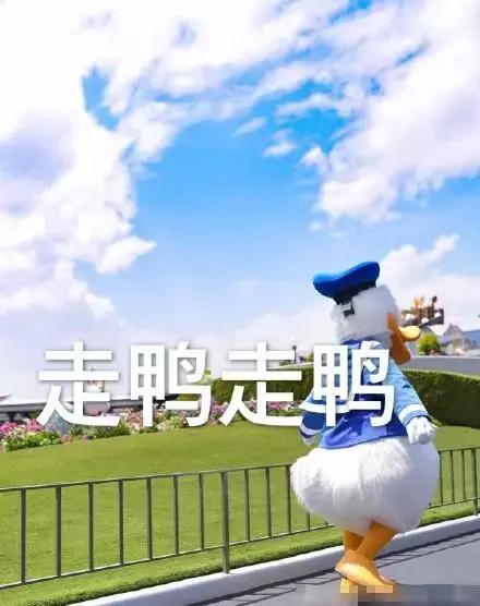 郑州飞哪里的机票最便宜五月,机票白菜价29元