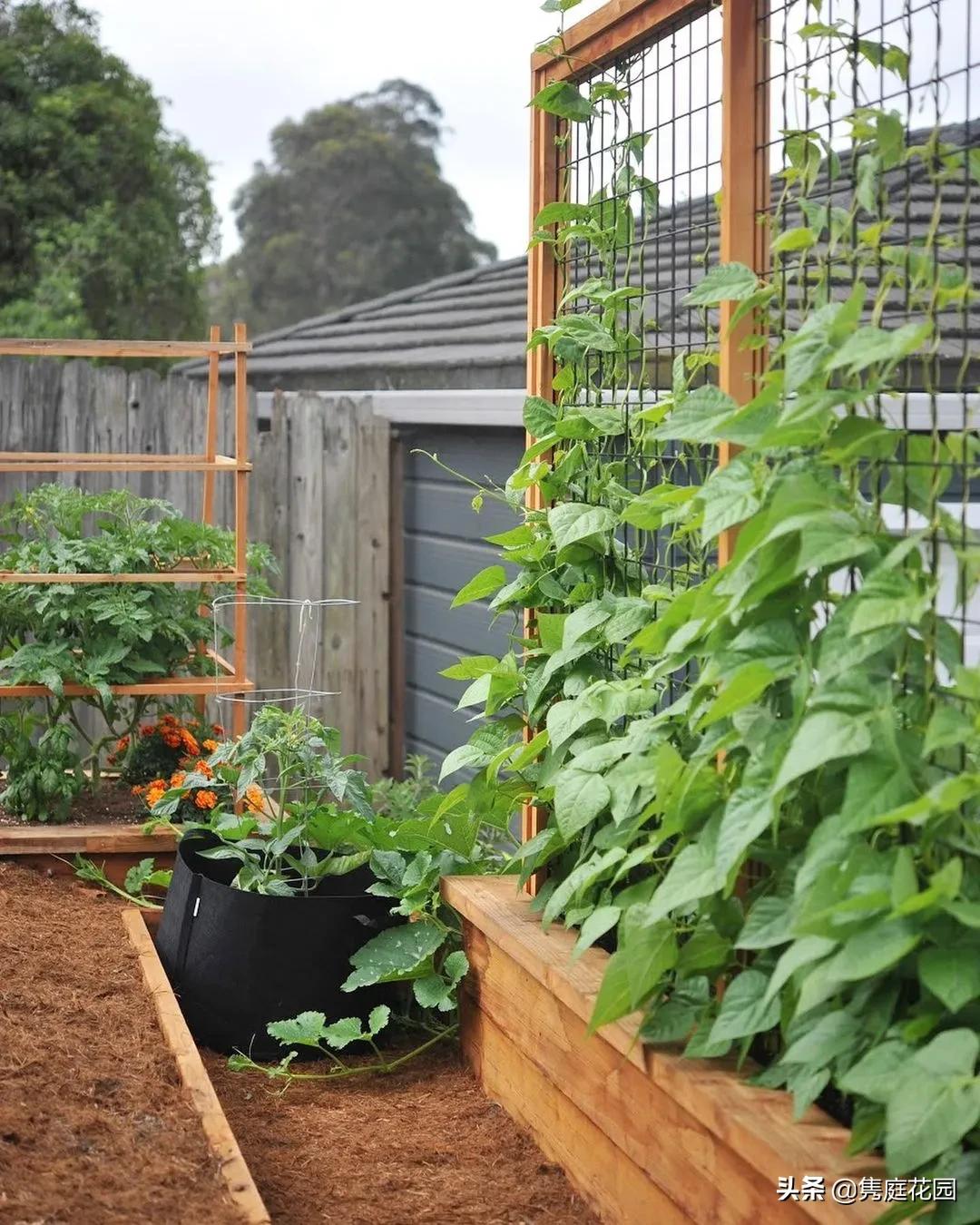 丰富又有趣的花园,花园是最能带给你身心愉悦的地方