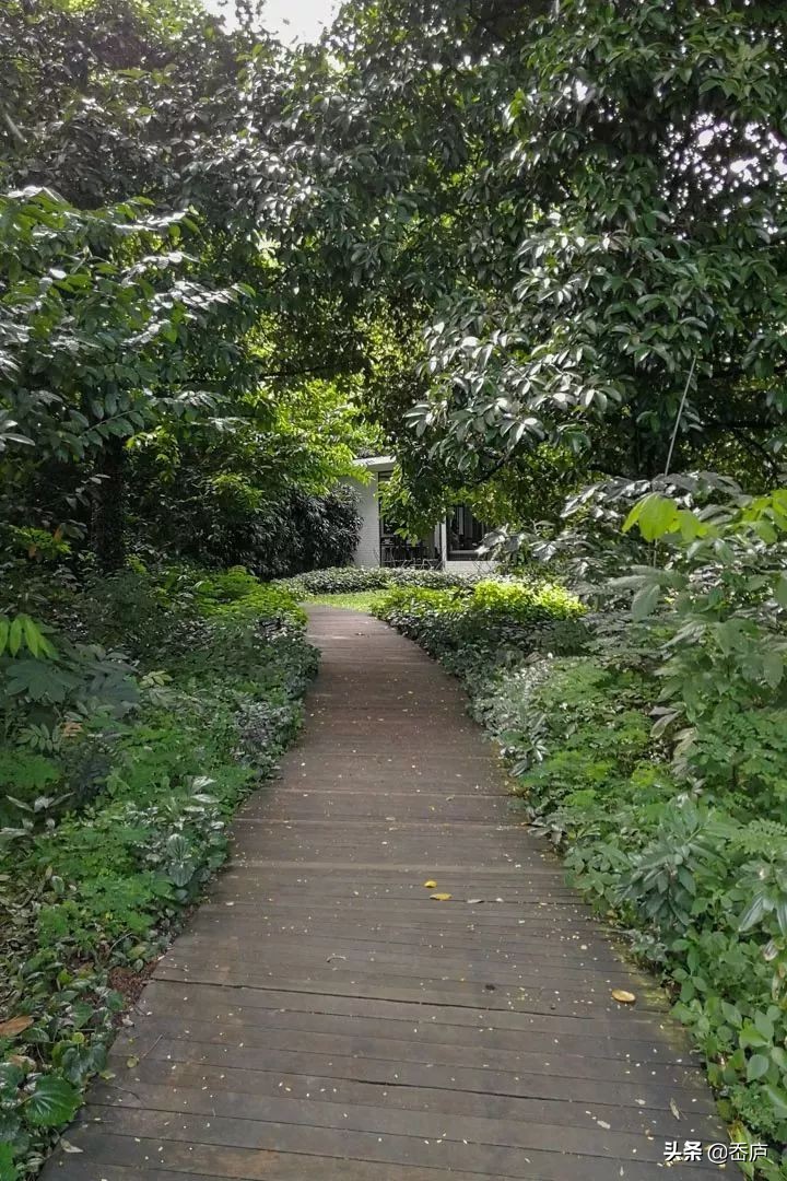 涓栫晫鍏ぇ鍜栧暋鍩庡競,涓栫晫鍏ぇ鍜栧暋