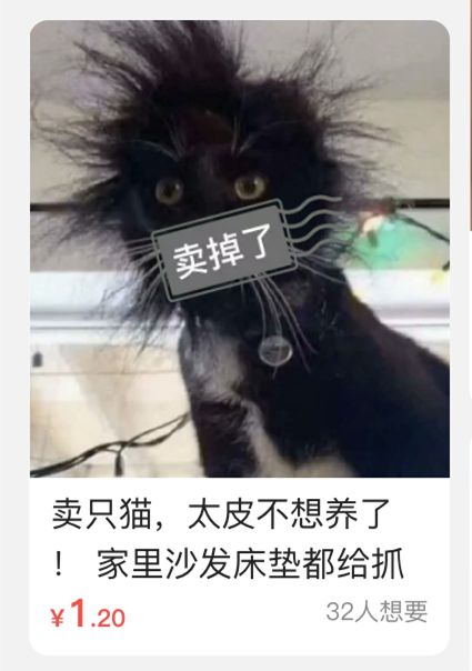 闲鱼上卖的神兽,闲鱼卖各种奇葩物品