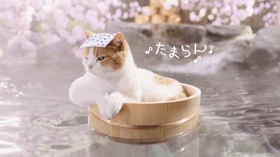 暴雨强对流天气来了,暴雨降水冷空气