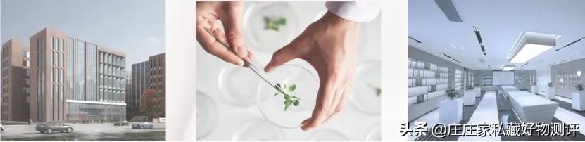 仙宛——美妆国货精品新秀