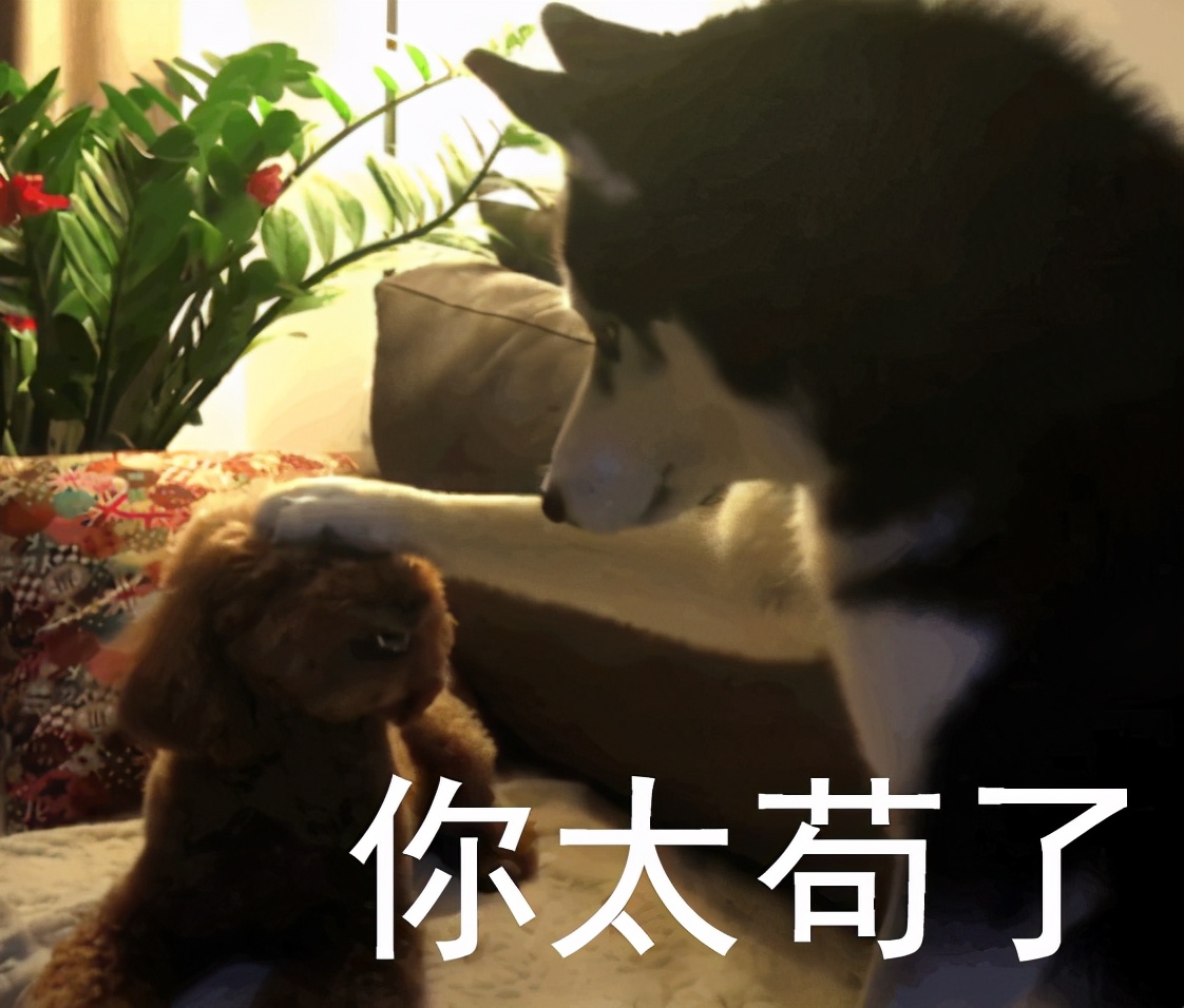 “你太苟了”表情包：做人就是要苟且偷生啦