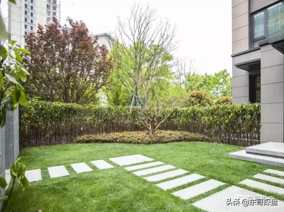 被限价压制的郑东白沙，竟有如此的爆款改善产品？