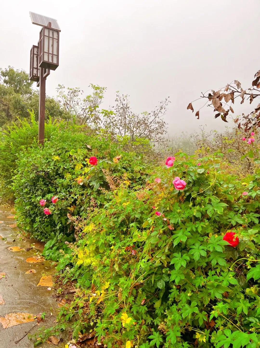蓟州农家院吃住玩价格,蓟州十佳农家院