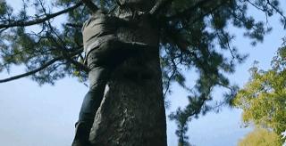 东北跑山是什么样子的,松花江采冰视频