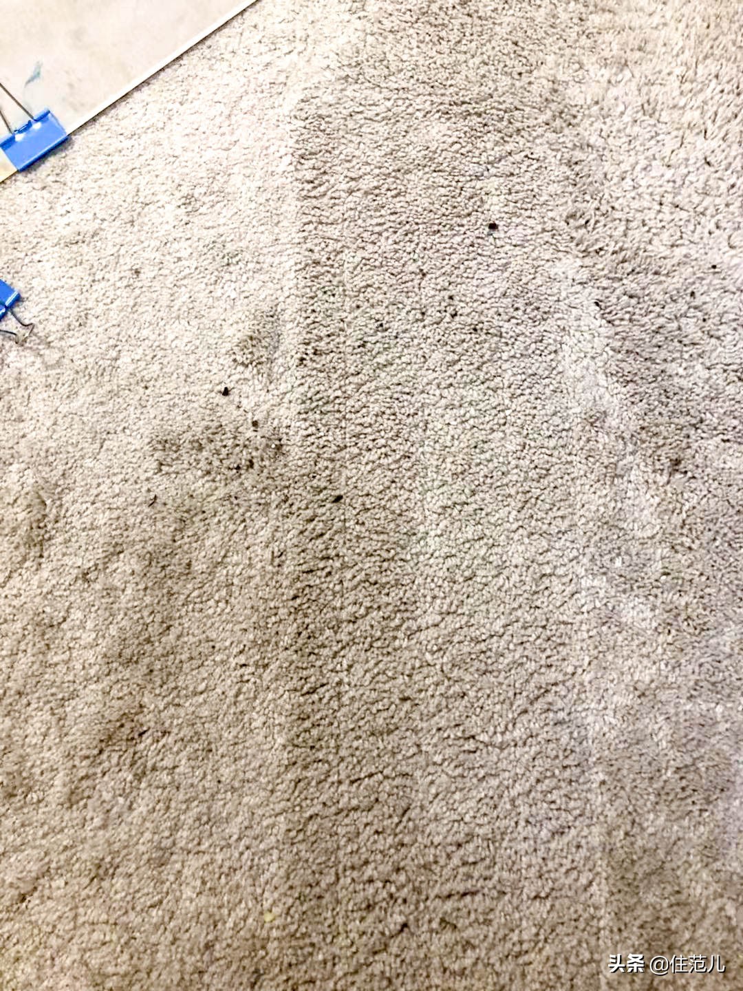 网红爆款戴森吹风机,戴森真的有用吗