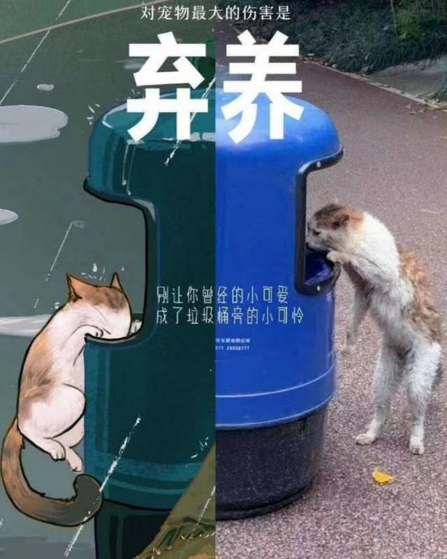 春天宠物高发传染病护理小常识，告别犬瘟，猫瘟和细小病毒