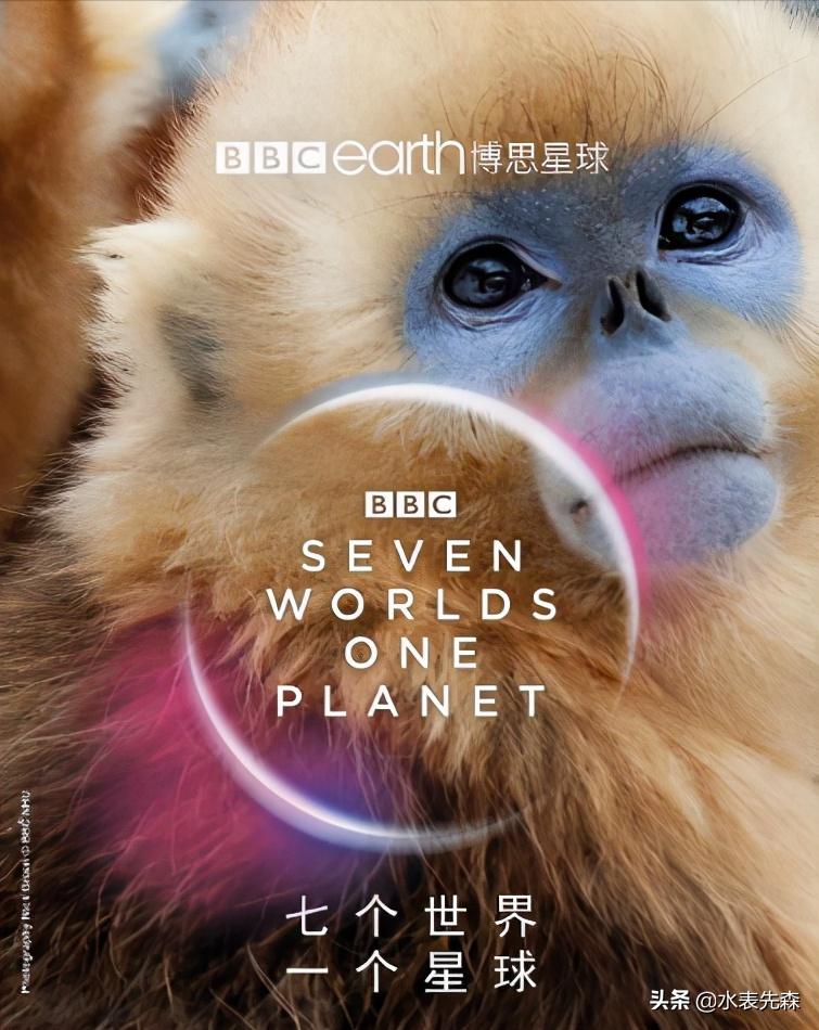 十部必看高分纪录片,十大必看的高分纪录片