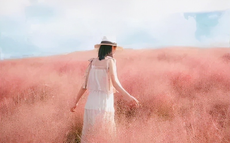 上海观赏草,上海之鱼冬天风景