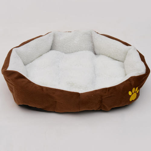 养狗新手入门必备知识,养狗知识大百科入门篇