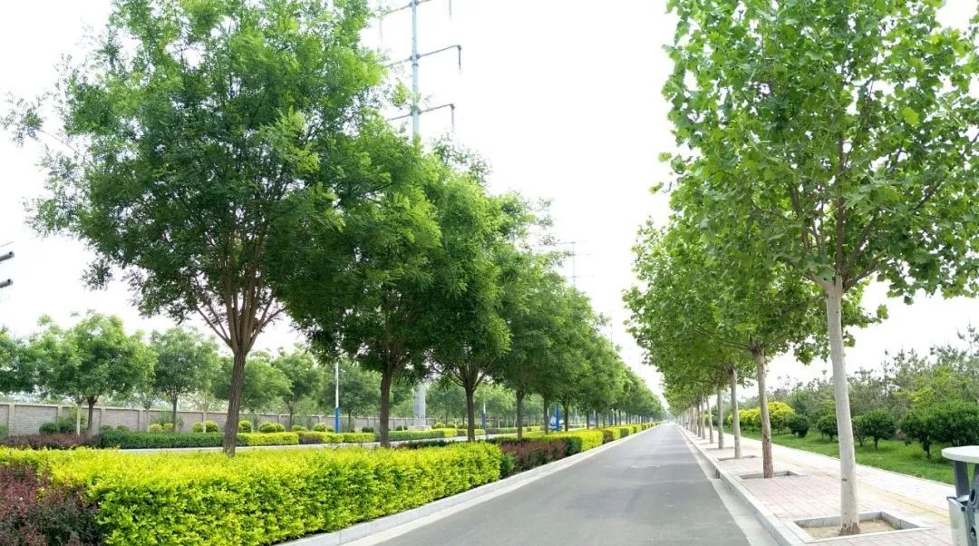 石家庄市楼市未来发展趋势,石家庄楼市未来发展趋势