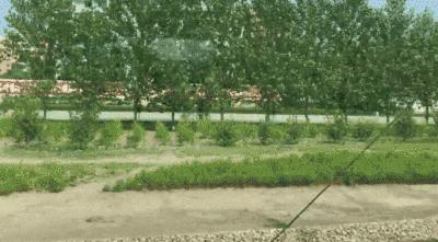 中国人在朝鲜能做什么生意？二手商品最受欢迎，国货秒变奢侈品？