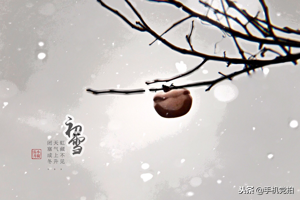 复古图文制作视频,4张照片制作教程新手入门