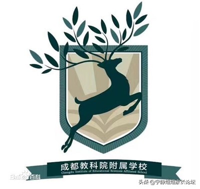 2019成都小升初学校排名,教科院附属中学成都2020中考喜报