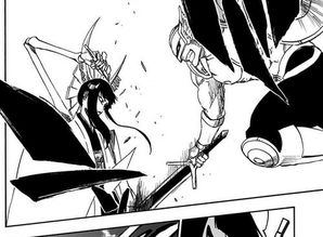 死神bleach零队,死神零番队全队