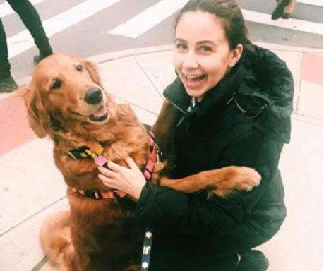 什么样的狗狗最好养也最好看,狗狗最省心最好养的8种狗