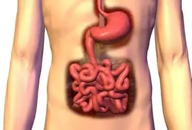 涨知识怎么缓解,涨知识中医养生健康