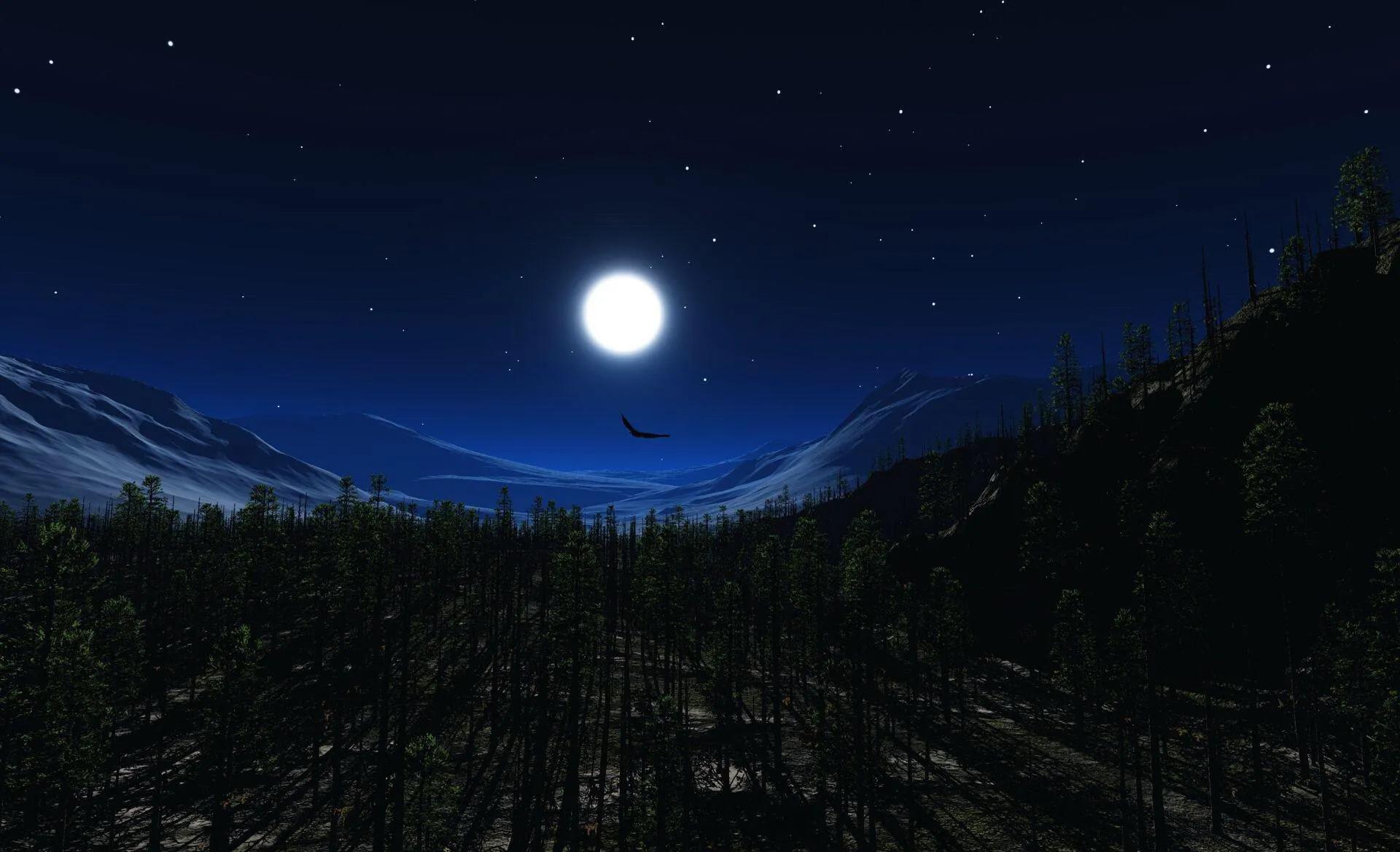 儿童成语学习0-3岁挂图,小学1-6年级成语大全专项训练