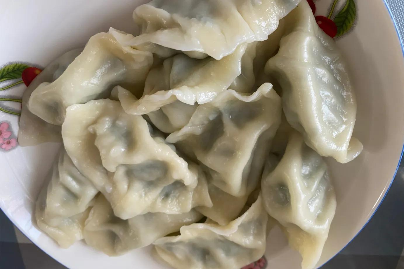 茴香鲜肉饺子鲜美极了,茴香猪肉饺子的正宗做法