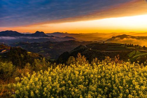 漫展漏*裤内**是软色情还是个人自由？