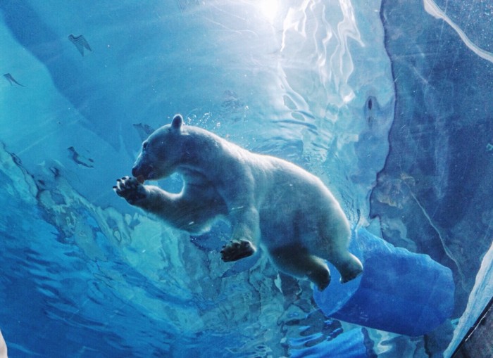 珠海长隆童趣乐园游玩攻略,出发游玩转珠海长隆海洋王国