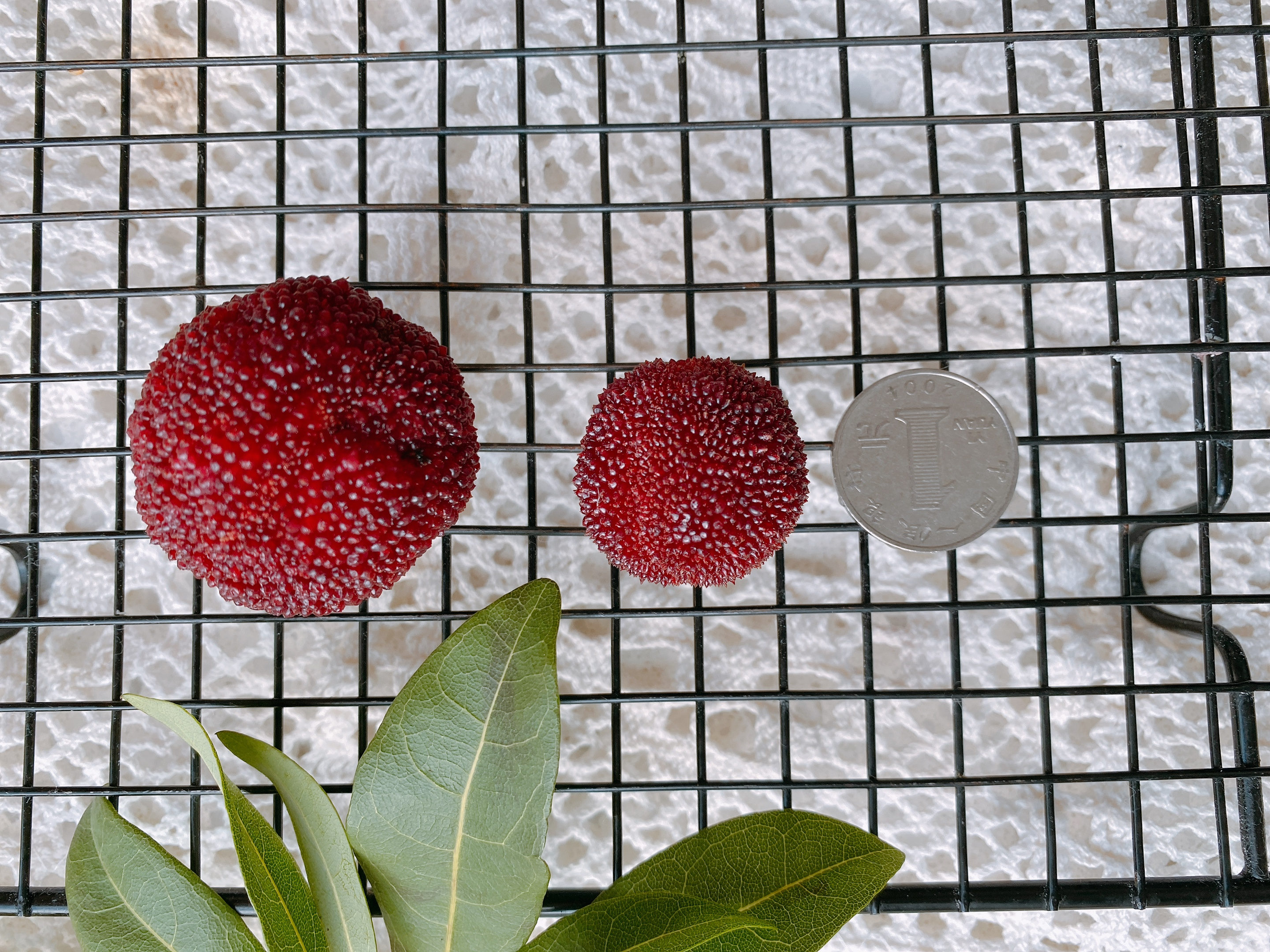 泡的杨梅酒怎样才能保存时间长,味道好喝杨梅酒的正确泡法步骤