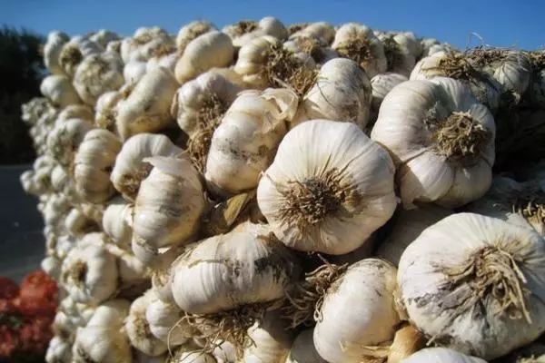 全新疆著名的特产,盘点十大新疆的特产