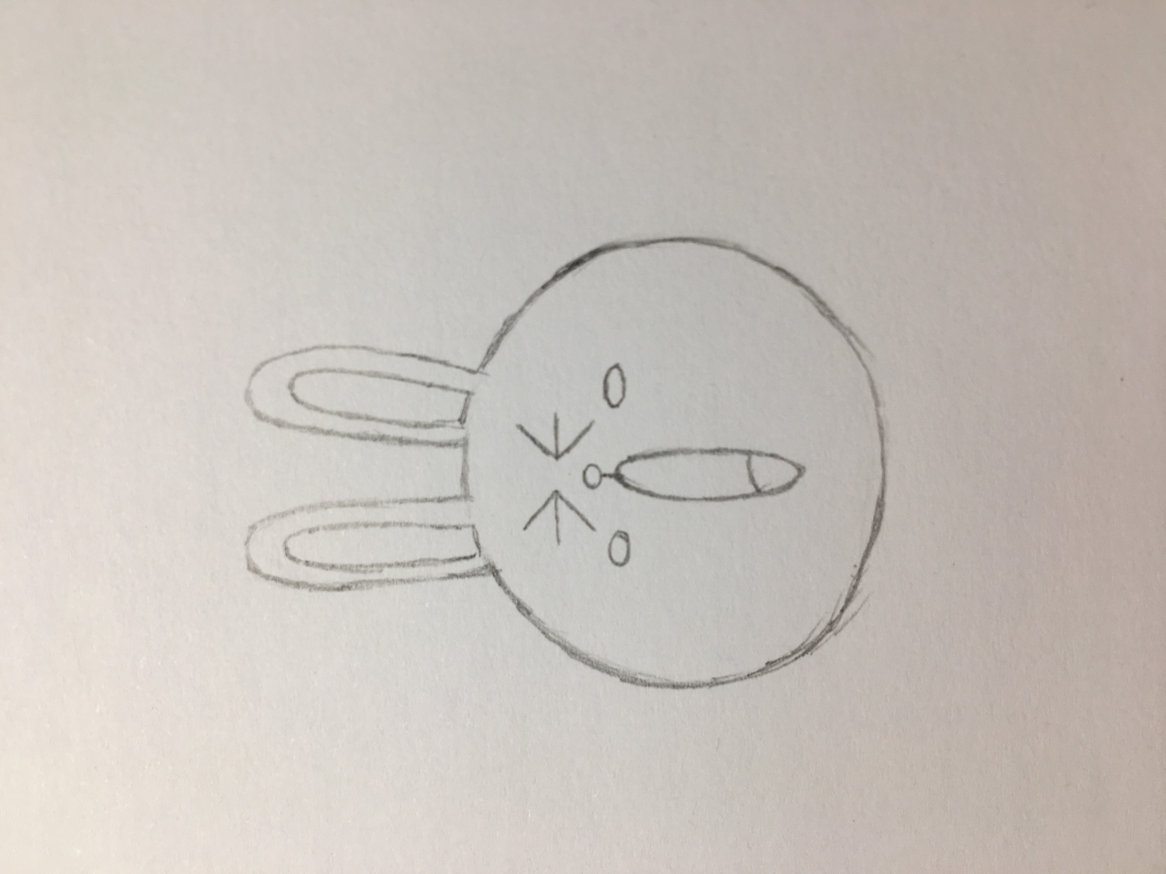 可妮兔怎么画简单又好看,简笔画可妮兔图片