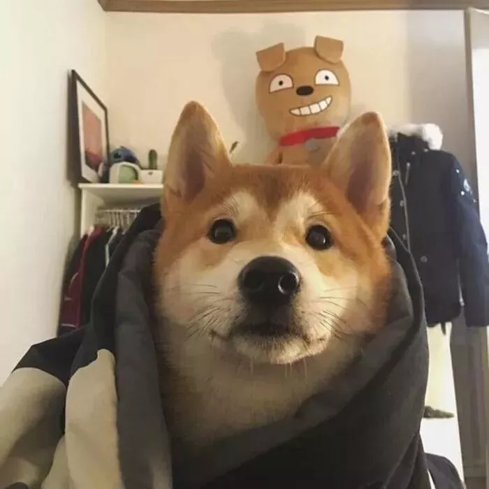 易经中的最吉利的微信头像招财,2024最招财带来好运的微信头像