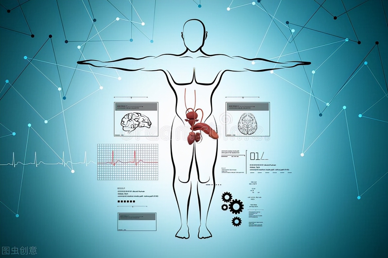 人生崽鸟下蛋！鸟类生殖、排尿、排便通道三合一，为何人类分开？