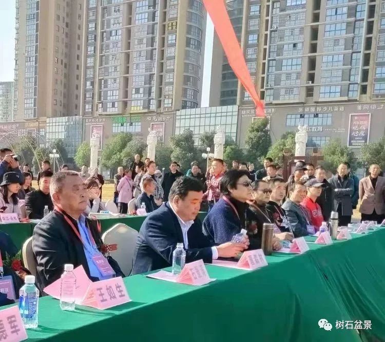 伟大使命复兴中国盆景艺术事业——2019中盆会大事回顾(下篇)