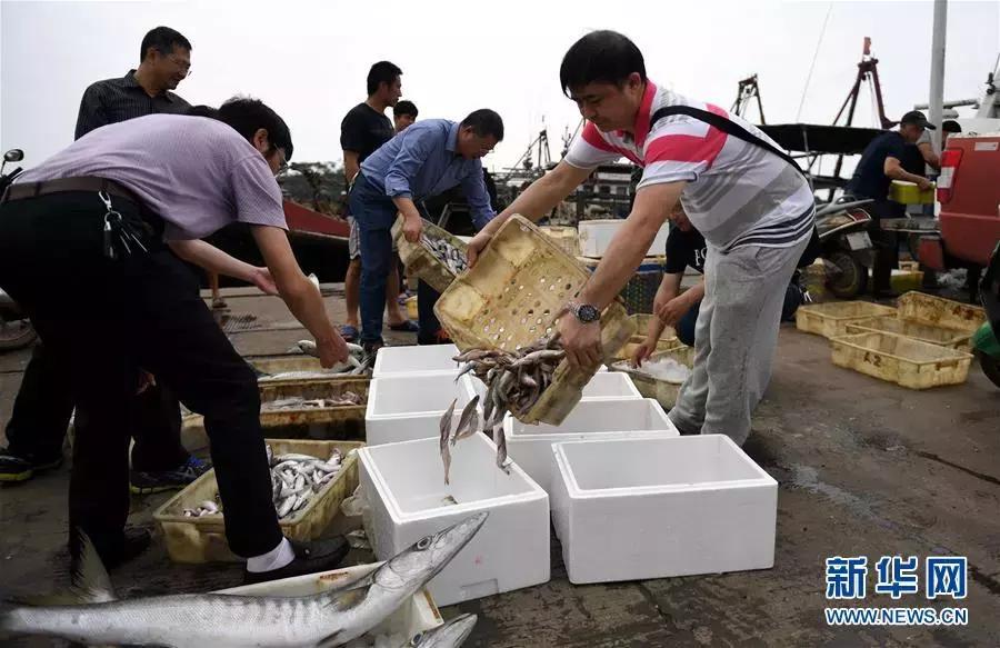 接下来3个月，福州人想吃这些海鲜要多花钱了！因为……