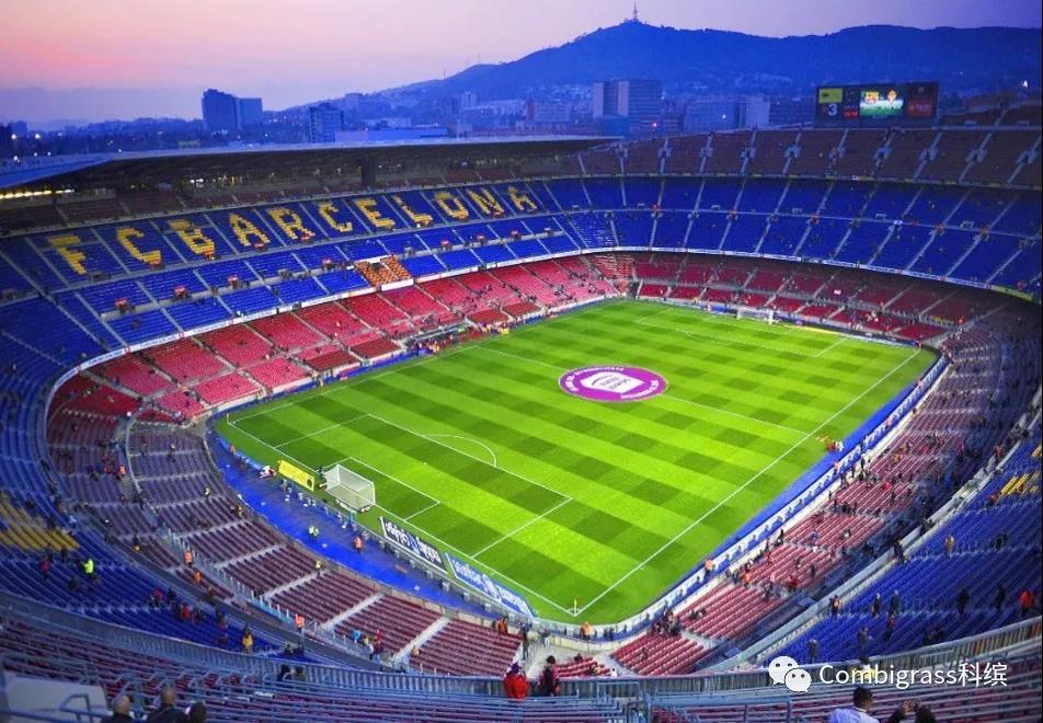 中国足协专业足球场,2022中国足协举办比赛场地