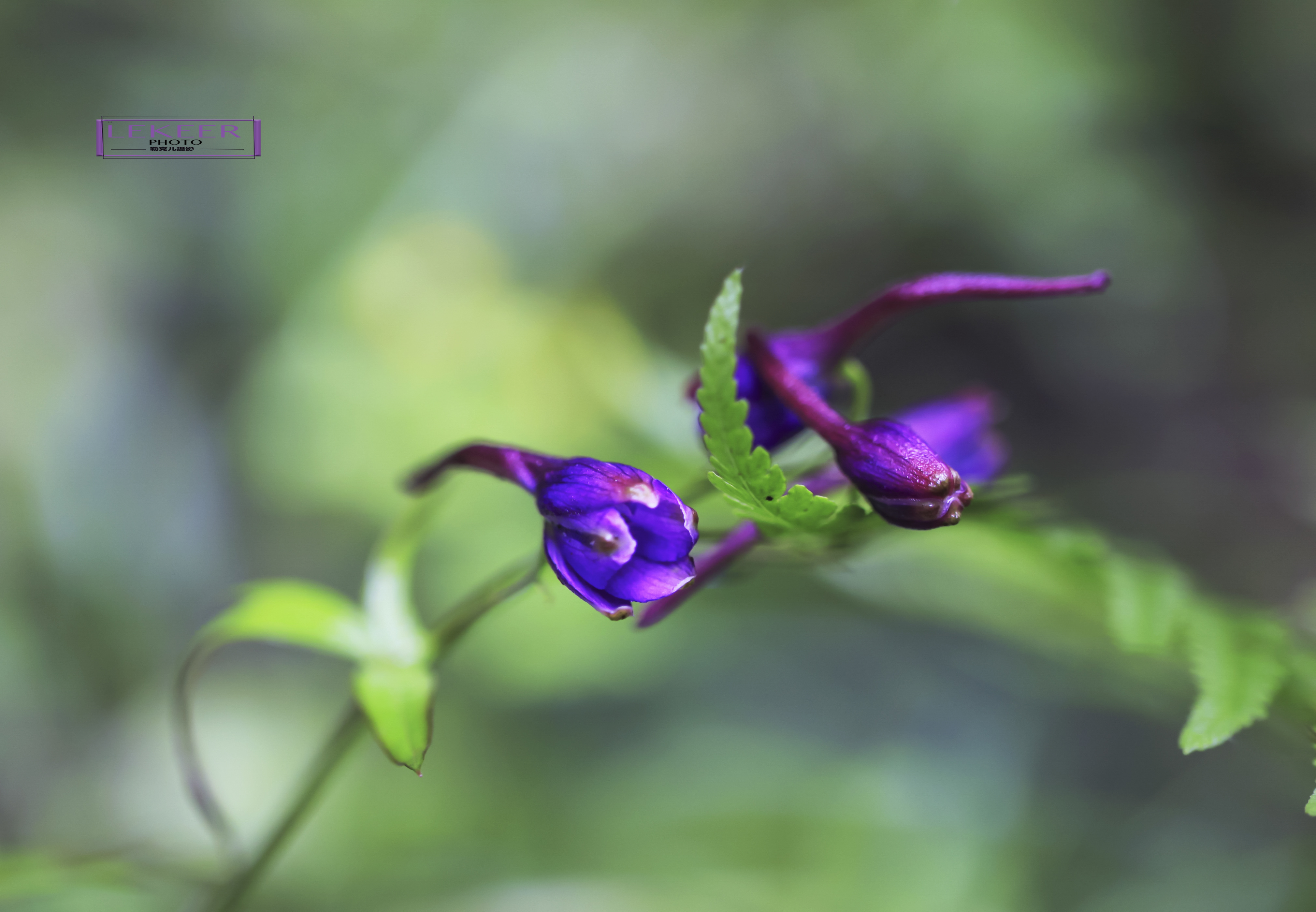 穿越无人区难忘的经历,穿越无人区后半夜的恐怖经历