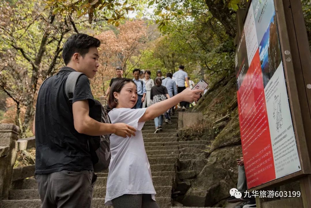 九华是哪个学校的学区房,九华学区房