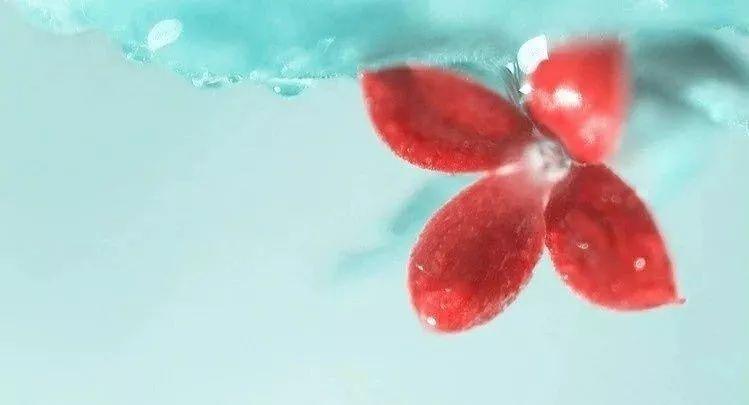 美丽而又优雅迷人善良的女人,女人的美是清新靓丽善解人意