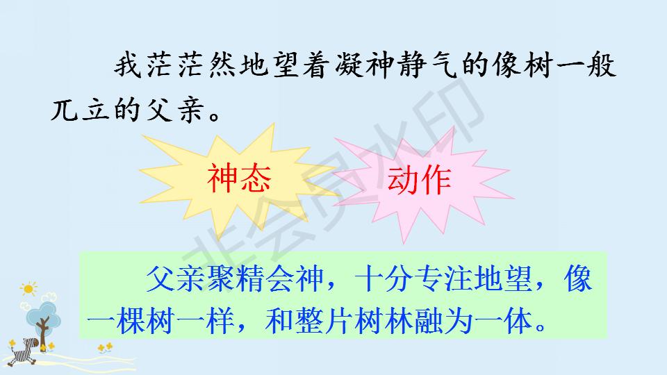 部编版父亲和鸟课件,父亲树林和鸟ppt教材解析