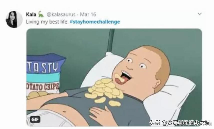 拼图可爱的小动物,有难度还很好看的猫咪拼图