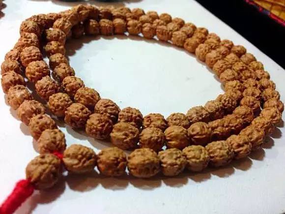 小金刚菩提最终是怎么样的,小金刚菩提子怎么看是真是假