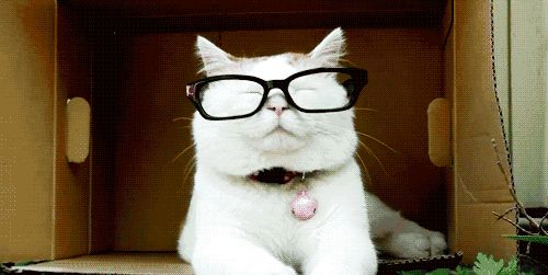 新晋的流行老爹裤这样穿最好看,阔腿裤过时了初秋老爹裤时髦显瘦