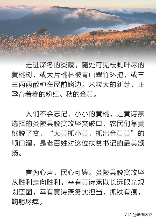 待到山花烂漫——追记“最美扶贫书记”黄诗燕