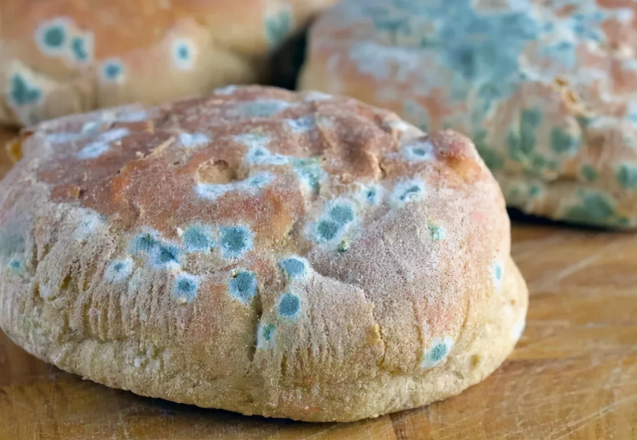 转氨酶指标高怎么治疗,转氨酶高要体检了怎么补救