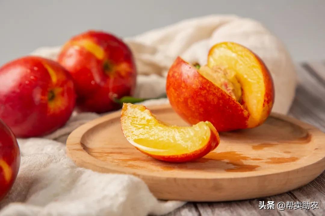 又脆又甜的油桃真好吃,油桃脆甜多汁爽口