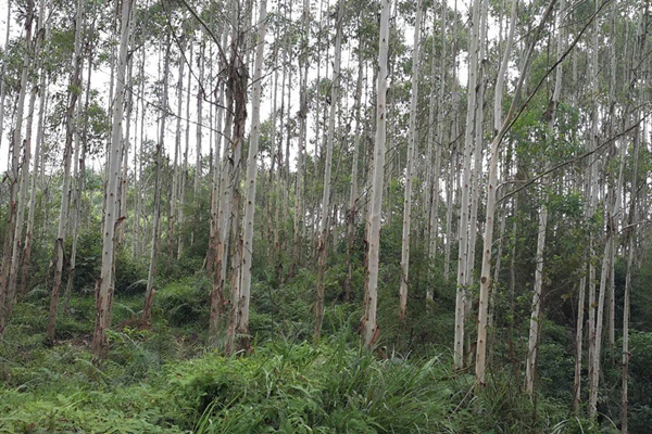 如何分辨你是广西哪个市的人,如何判断一个人是不是广西的