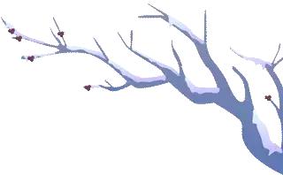 抚顺热高丛林乐园,抚顺热高三个园攻略