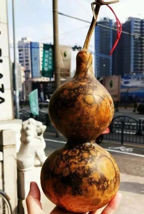 文玩葫芦怎么晒效果最好,文玩葫芦花了