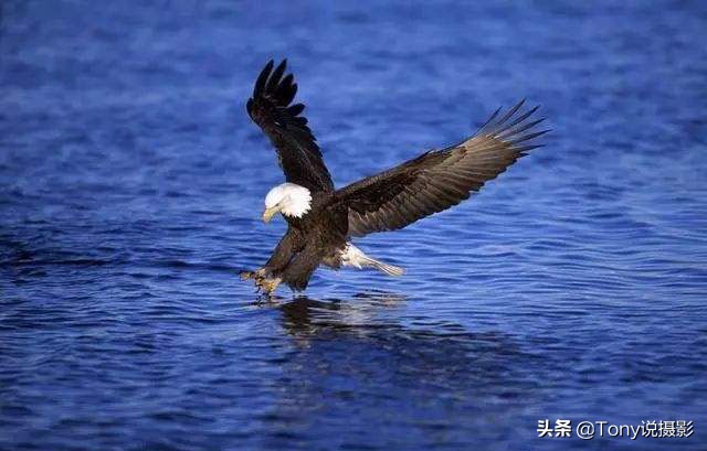 深入浅出完整版,深入浅出一文搞懂相机的快门速度